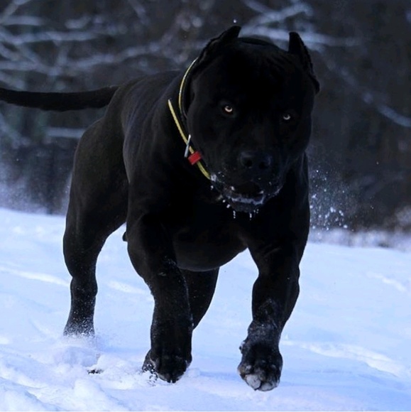 Meet your Posher, Michael - Picture 1 of 1